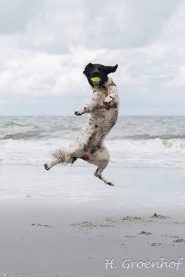 13912896_1107186656035358_253912150008576513_n