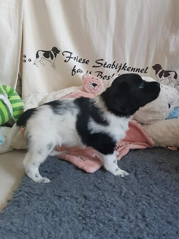 21323006_1625531090804195_1334697027_n