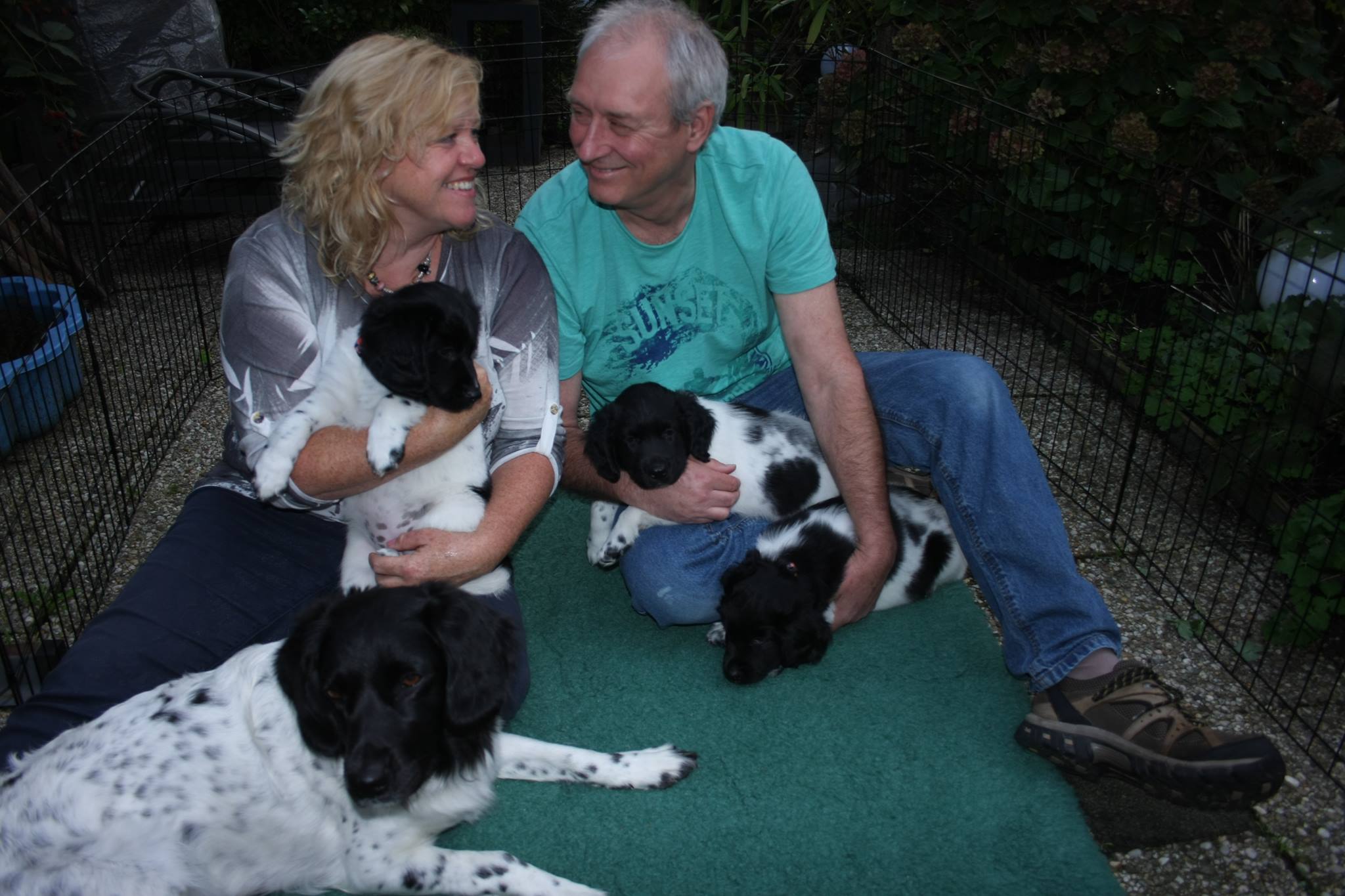 21908355_1640985402592097_1593969765_o