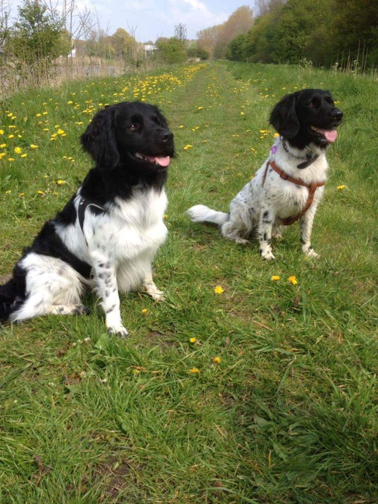 FB_IMG_1501106437269